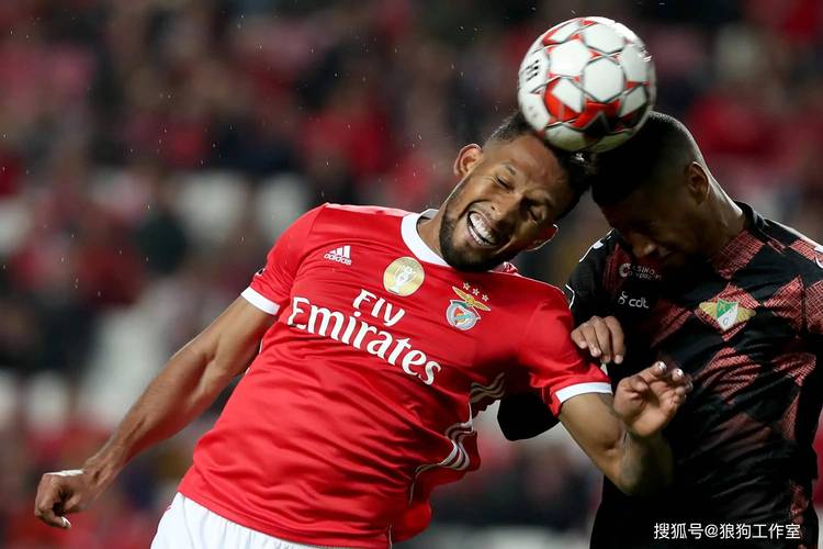 本赛季前10联赛仅5队不败：拜仁、费内巴切、波尔图、本菲卡在列