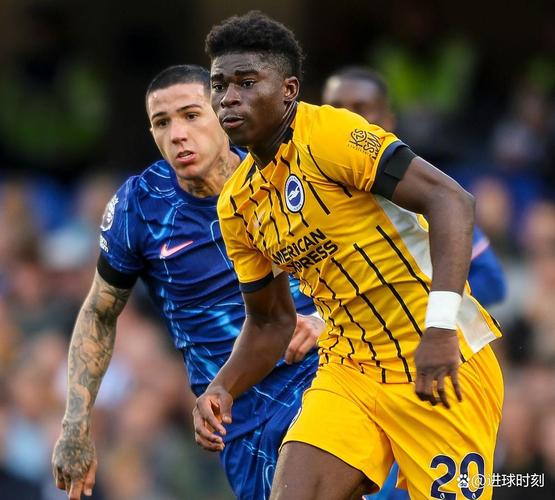 布莱顿主帅：维尔贝克像一瓶好红酒越陈越香 要帮巴莱巴走出低谷